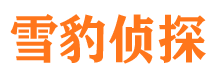 柏乡侦探公司